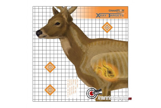 Lot de six cibles posters cerf en rayons X