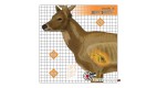 Lot de six cibles posters cerf en rayons X