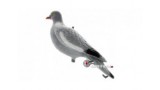 Cible réaliste pigeon ramier 3D
