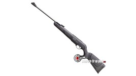 Gamo Shadow IGT