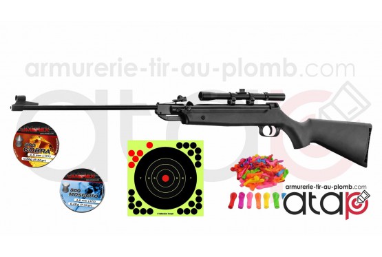 Pack prêt à tirer Carabine à plombs Beeman QB 12