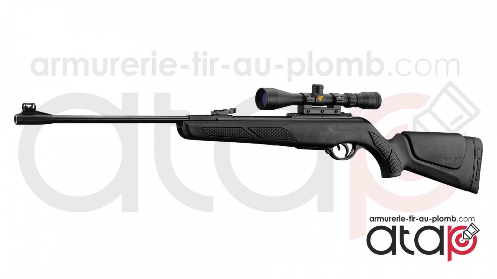 Carabine à plomb Gamo Shadow DX Inter avec Lunette de visée et plombs