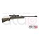 Carabine À Plomb Gamo Big Cat 1000E Barricade Avec Lunette 4X32