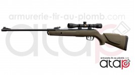 Carabine À Plomb Gamo Big Cat 1000E Barricade Avec Lunette 4X32