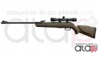 Carabine À Plomb Gamo Big Cat 1000E Barricade Avec Lunette 4X32
