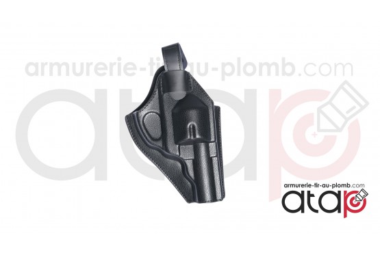 Holster rigide moulé ASG pour Dan Wesson 2.5 et 4 pouces