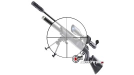 Walther 1250 Dominator FT Carabine PCP 16 joules