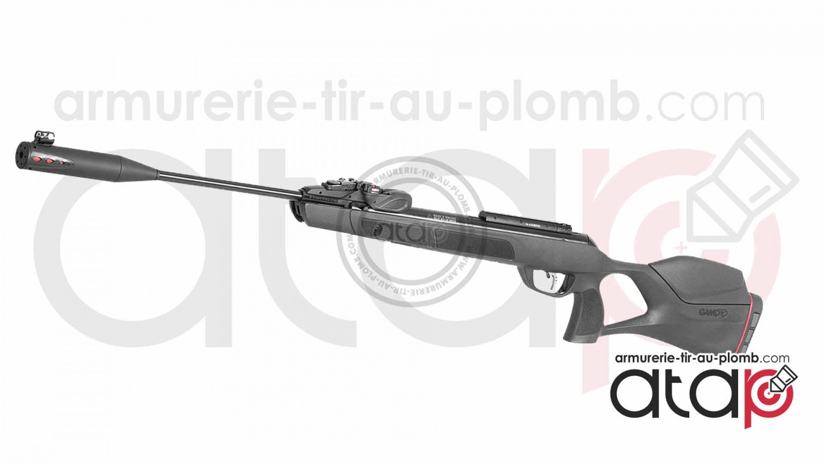 Carabine à plomb puissante (20 joules, 30 joules) 5.5 mm : gamo