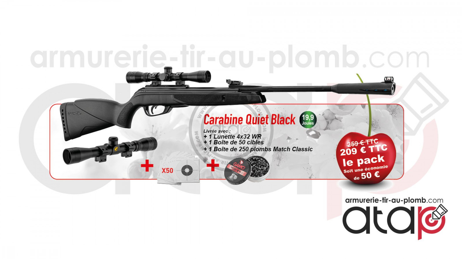 Pack carabine à plomb Gamo Black X10 et lunette 3-9x40 WR - Cal. 4.5 