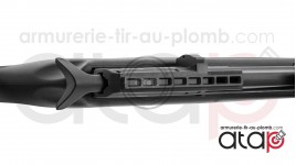 Gamo Arrow - Carabine PCP 20 joules