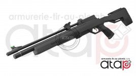 Crosman Icon - Carabine PCP