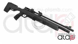 Crosman Icon - Carabine PCP