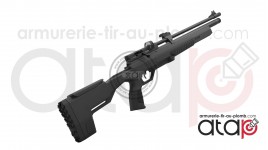 Crosman Icon - Carabine PCP