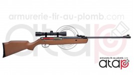 Crosman Vantage NP Avec Lunette 4x32 Carabine a Plomb