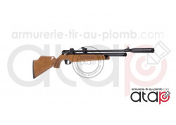 Artemis PR900W Carabine PCP