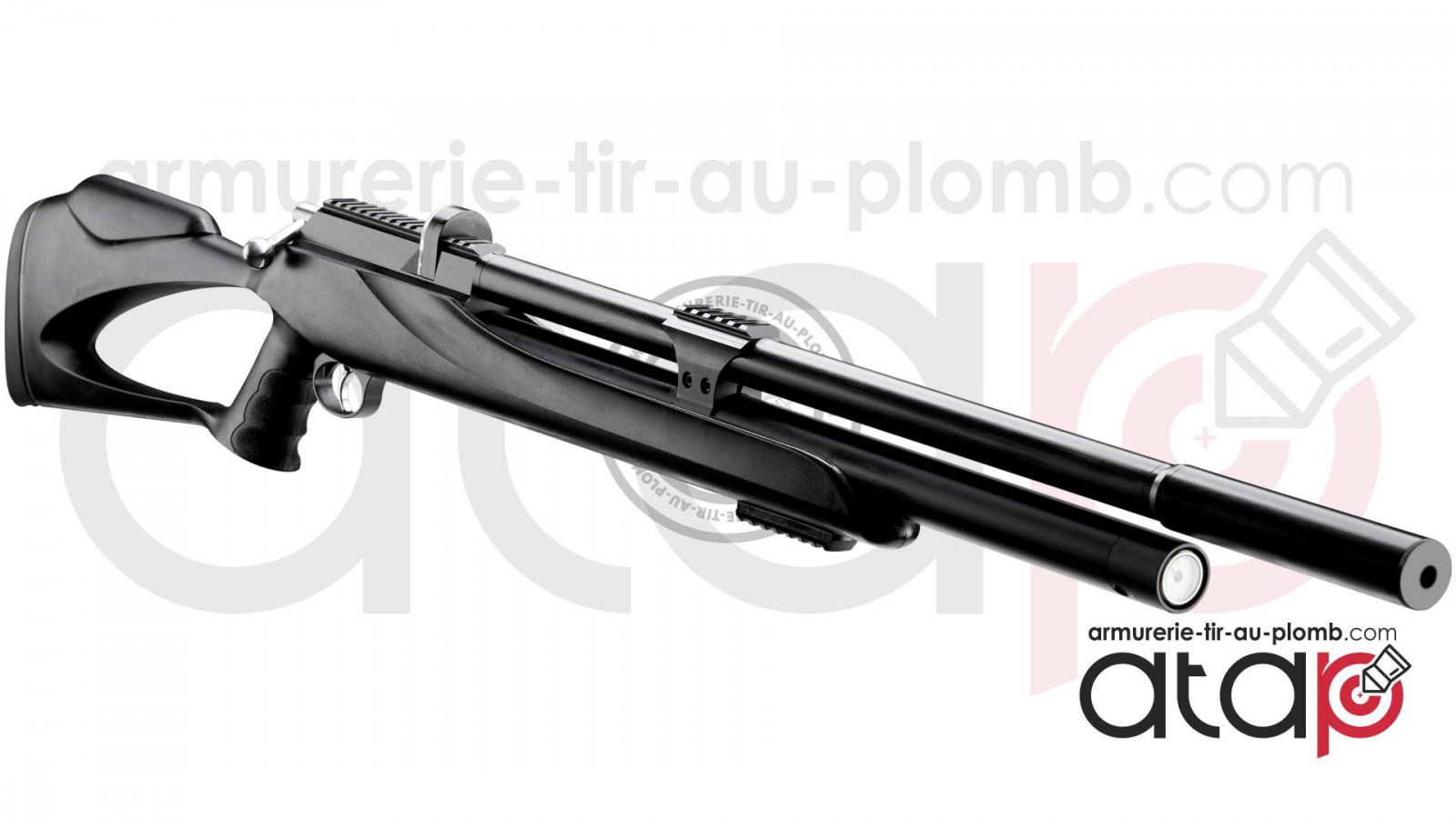 Kit carabine air comprimé Cal 5.5. avec lunette Viseur, cibles et