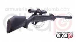 Pack carabine à plomb Crosman Shockwave