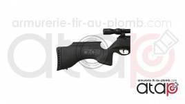 BSA XL Tactical Avec Lunette 3-9x32 Carabine a Plomb