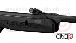 Gamo Delta Fox GT Carabine a Plomb