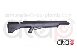 Carabineà plombs PCP Crosman Benjamin Bulldog calibre 0.357