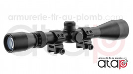 Lunette RTI 3-9x40 Avec Montage de Rail 22 mm