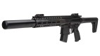 SIG Sauer MCX ASP GEN2 Carabine à Plomb