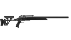 xm1 pro carabine pcp stoeger