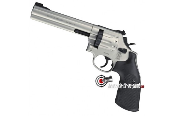 Smith & Wesson 686 nickel 6"