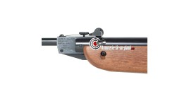 Cometa 100