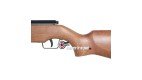 Cometa 100